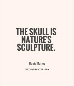 The skull is nature 39 s sculpture