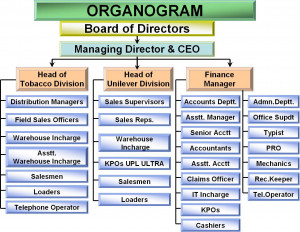 Organogram Structure Chart
