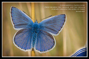 Wallpapers with Scripture quotes/3Week_jan.jpg