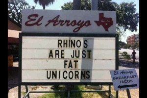 Rhinos are just fat unicorns