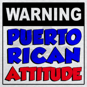 warning_puerto_rican_attitude_kids_hoodie.jpg?color=AshGrey&height=460 ...
