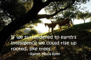 ... to earth's intelligence we could rise up rooted, like trees