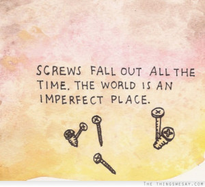 Screws fall out all the time the world is an imperfect place
