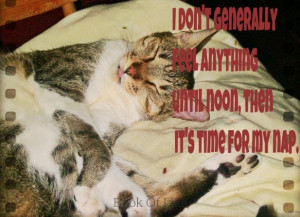 Nap Sayings of Sleep Quotes, Photo of cats, nap sleep funny quotes ...