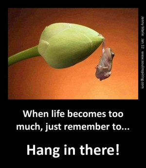 When it gets too much, just remember to Hang In There!