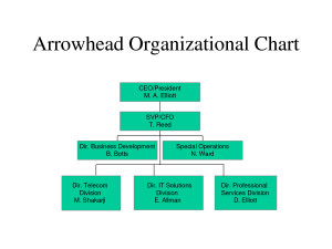 company organization chart ceo cfo