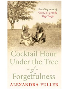 ... Hour Under the Tree of Forgetfulness by Alexandra Fuller: review