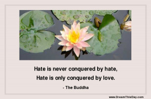 is never conquered by hate hate is only conquered by love the buddha ...