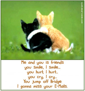 funny friends picture, funny cats, you and me, funny quote