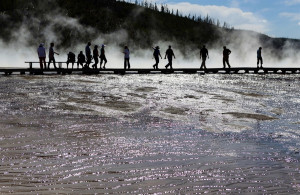 Scenes of summer from Yellowstone National Park
