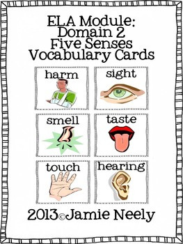 Five Senses Vocabulary Cards