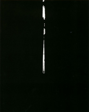 12 Great Photographs By Harry Callahan
