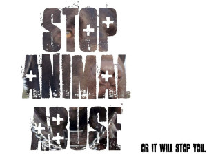 Stop Animal Abuse. by thatinsanehero