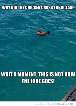 funny-pictures-why-did-the-chicken-cross-the-ocean.jpg