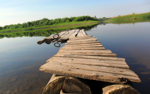 Funny Quotes Contact Dmca...