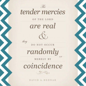 ... Tender Mercy, or Just a Bird? www.brianmickelson.com #mormon #lds