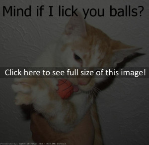 Funny Cat Sayings (id: 42458)