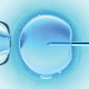 Why is the Catholic Church against IVF?