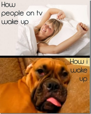 Waking Up In The Morning.