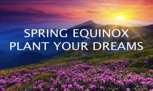 Spring Equinox 2015 | Search Results | The Works