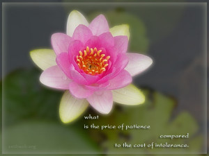 What is the price of patience compared to the cost of intolerance.