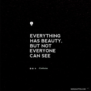 Everything Has Beauty but Not Everyone Can See It