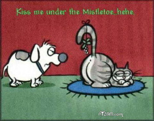 Mistletoe Mishap random