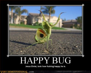 Happy Bug | Source : Very Demotivational - Posters That Demotivate Us