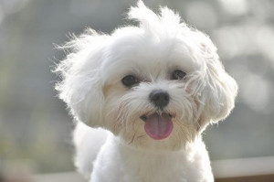 Found on weheartit.com