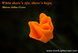 quotes quotes about peace quotes on peace peace short quotes ...