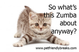 So what’s this zumba about anyway?