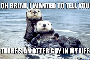 Sea Otter Meme Quot Need Dis