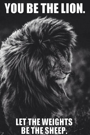 You be the lion. Let the weights be the sheep.