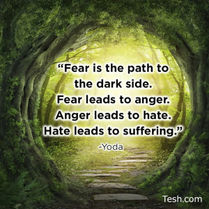 yoda #quotes #meme #fear #nofear #teshtips #IFYL #advice
