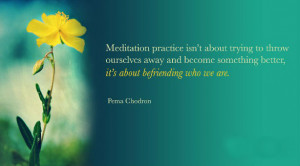 Meditation practice isn't about trying to throw ourselves away and ...