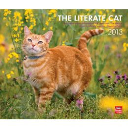 quotes of determination about com quotations quotes of determination a ...