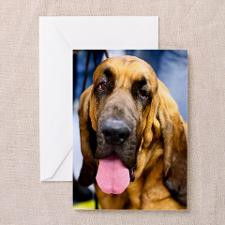 Bloodhound Greeting Card for