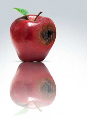 Courtesy of Yes Magazine :