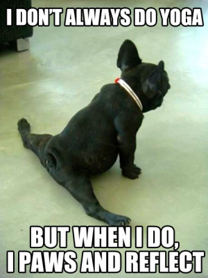 Bit of Yoga Humor Posted September 17, 2013 | Tags: humor