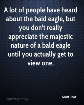 Bald eagle Quotes