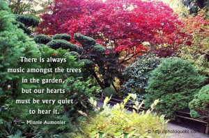 There is always music amongst the trees in the garden, but our hearts ...