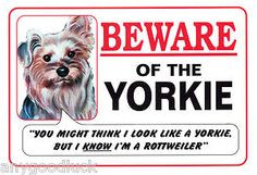 Miniature Yorkshire Terrier Funny Yorkie Humor Design