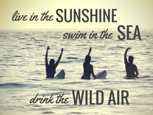 live_in_the_sunshine_drink_the_wild_air_travel_quotes