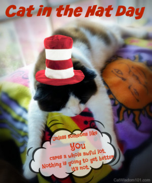 Cat in the Hat Day With Wacky, Wild and Weird Cats