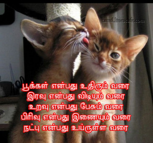 Latest 2014 Friendship Quotes In Tamil