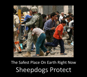 Sheepdog Warrior Sheepdogs heroes of tomorrow
