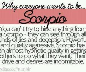 Wants To Be Scorpio | via Facebook