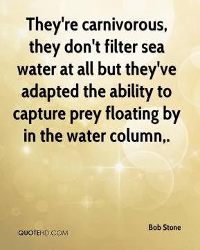 Bob Stone - They're carnivorous, they don't filter sea water at all ...