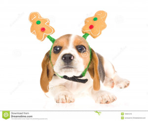 Funny Beagle puppy gingerbread man hat