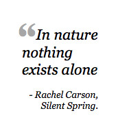 What is Rachel Carson's Legacy? 6 Women Leaders Speak Out On The ...